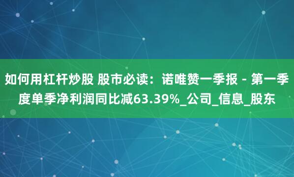 如何用杠杆炒股 股市必读：诺唯赞一季报 - 第一季度单季净利润同比减63.39%_公司_信息_股东