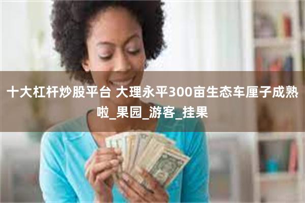 十大杠杆炒股平台 大理永平300亩生态车厘子成熟啦_果园_游客_挂果