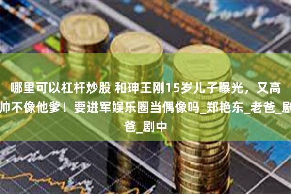 哪里可以杠杆炒股 和珅王刚15岁儿子曝光，又高又帅不像他爹！要进军娱乐圈当偶像吗_郑艳东_老爸_剧中