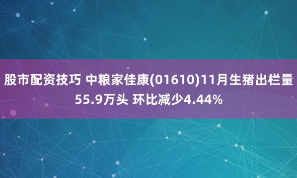 股市配资技巧 中粮家佳康(01610)11月生猪出栏量55.9万头 环比减少4.44%